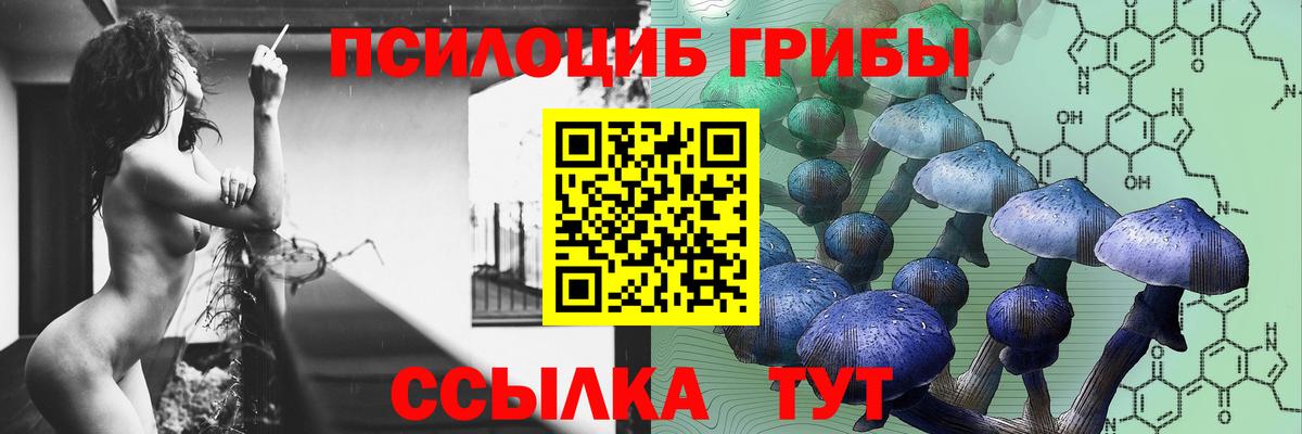 Псилоцибиновые грибы мухоморы Осинники